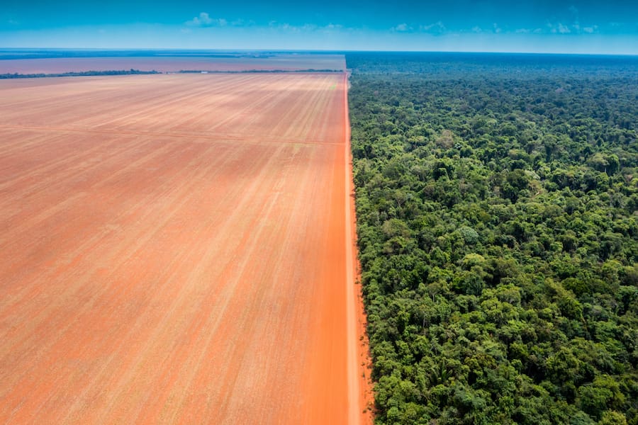 Desmatamento na Amazônia é o maior dos últimos 15 anos