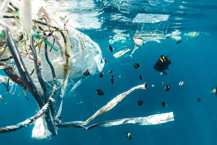 1/3 do plástico produzido no Brasil vai parar nos oceanos, diz pesquisa