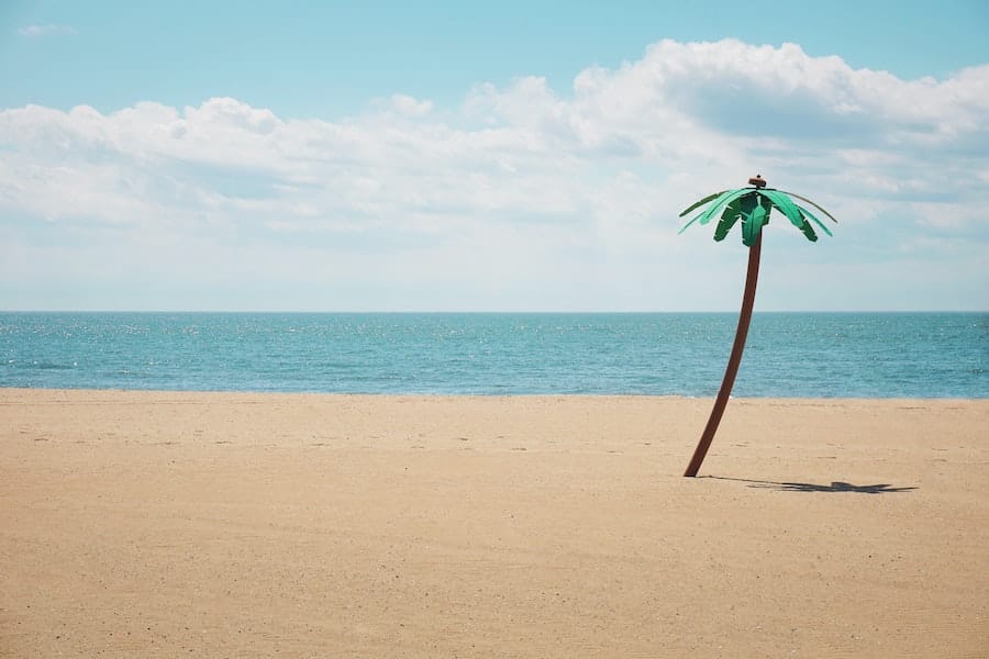 Voltamos de recesso e tivemos recorde no site, mais uma vez / Foto: Maarten van den Heuvel/Unsplash