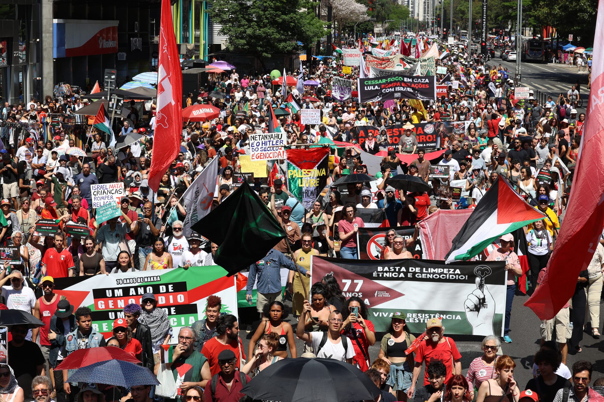 Na véspera das conversas sobre paz no Egito, Israel bombardeia Gaza e mata mais 24 palestinos