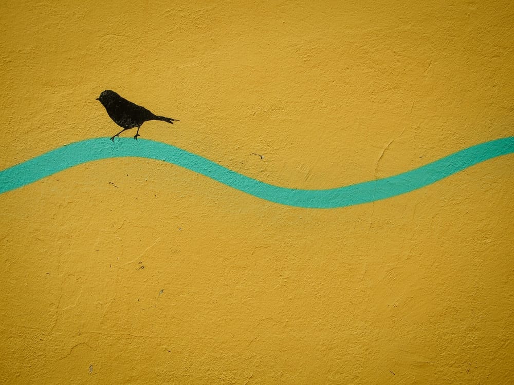 Assobio Diário