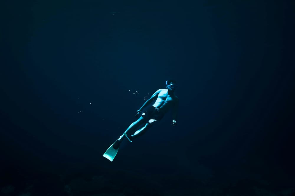 #01 Ocean Report: atualizações de legislação oceânica e letramento sobre questões marinhas