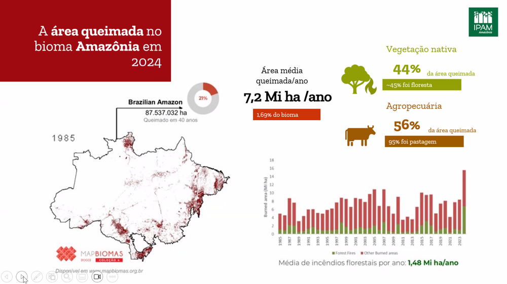 Fogo na Amazônia sob análise do IPAM: após 2024 'atípico' e cheio de incêndios, 2025 aponta redução 'histórica'