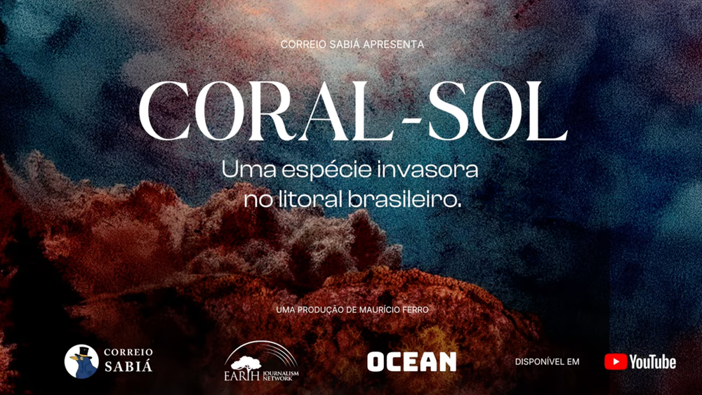 Assista ao documentário 'Coral-sol, uma espécie invasora no litoral brasileiro' no YouTube