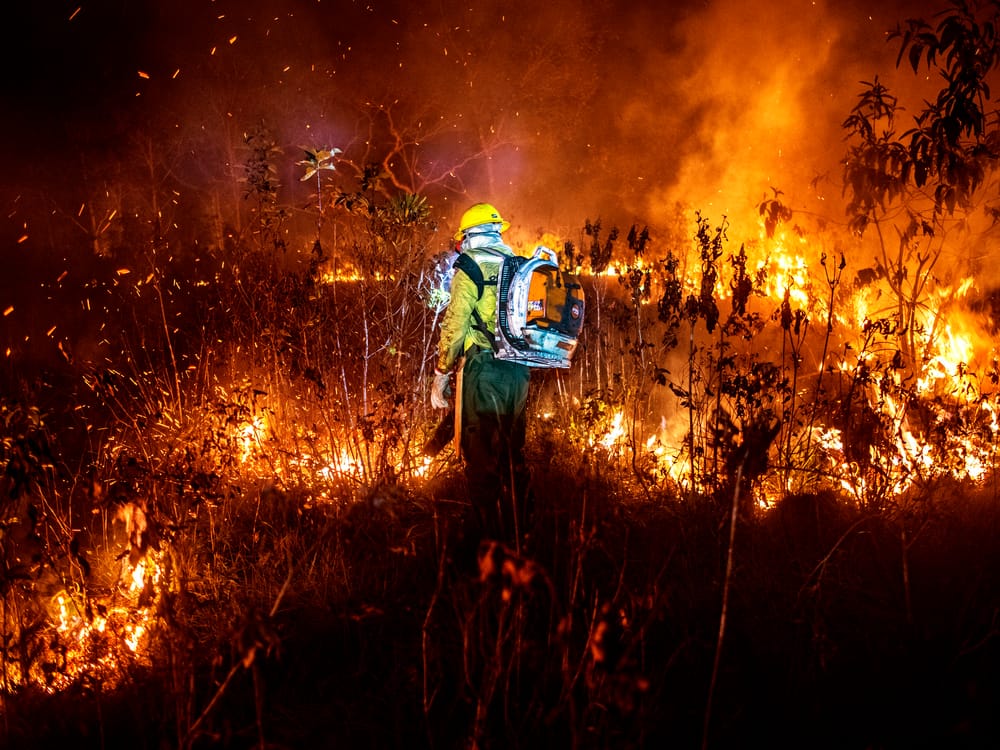 70 projetos em tramitação no Congresso são críticos para o meio ambiente