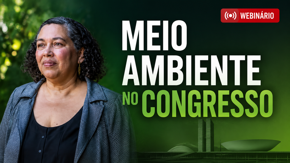 Congresso e meio ambiente: qual a agenda legislativa ambiental? Suely Araújo responde