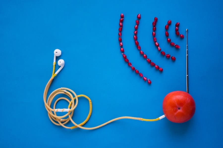 Sabiá no Ar, o podcast diário do Correio Sabiá / Foto: Hadis Malekie/Unsplash