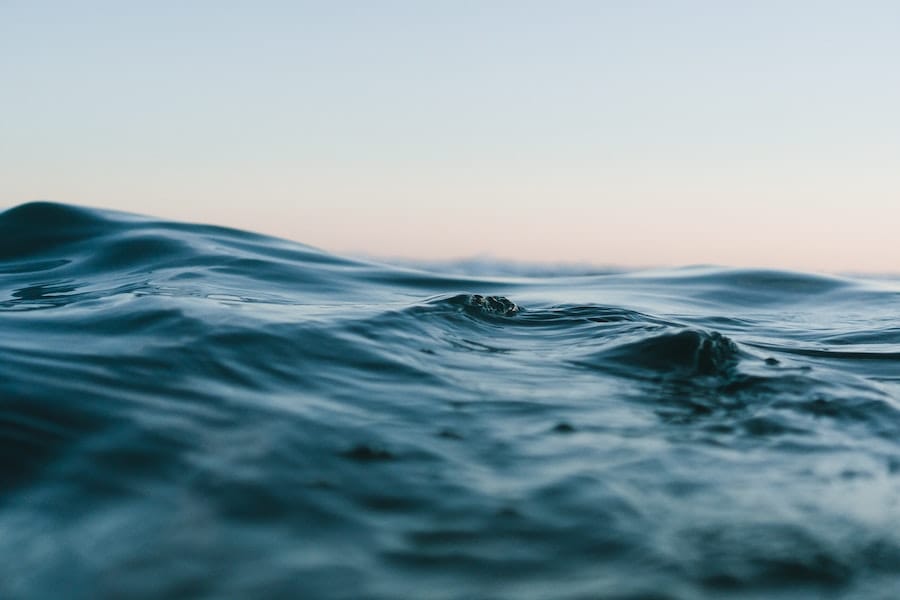 Foto: Matt Hardy/Unsplash