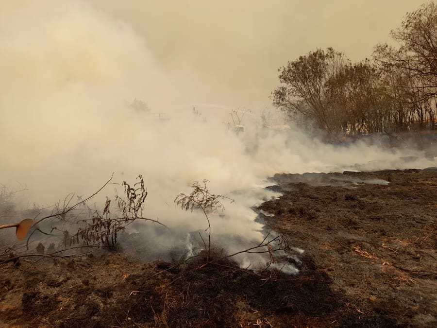 🔥 Sobe para 6 o número de presos suspeitos de participar dos incêndios criminosos no estado de SP