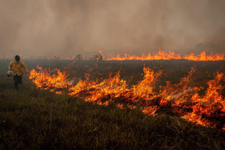 🔥 Como medir o desmatamento na Amazônia? O que é Prodes e Deter?