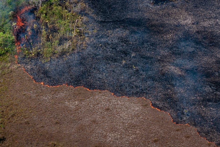 Amazônia: 2022 tem maior número de focos de queimadas em 12 anos