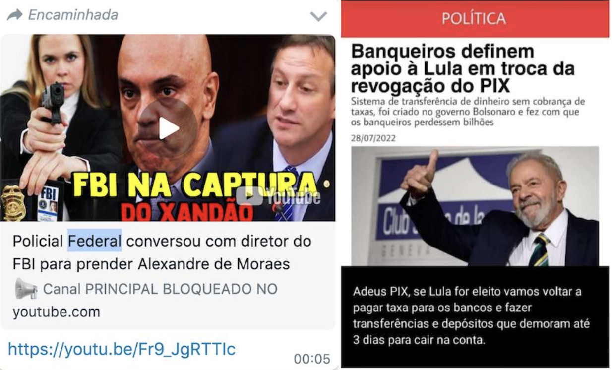 Pecuaristas enviam desinformação bolsonarista no WhatsApp