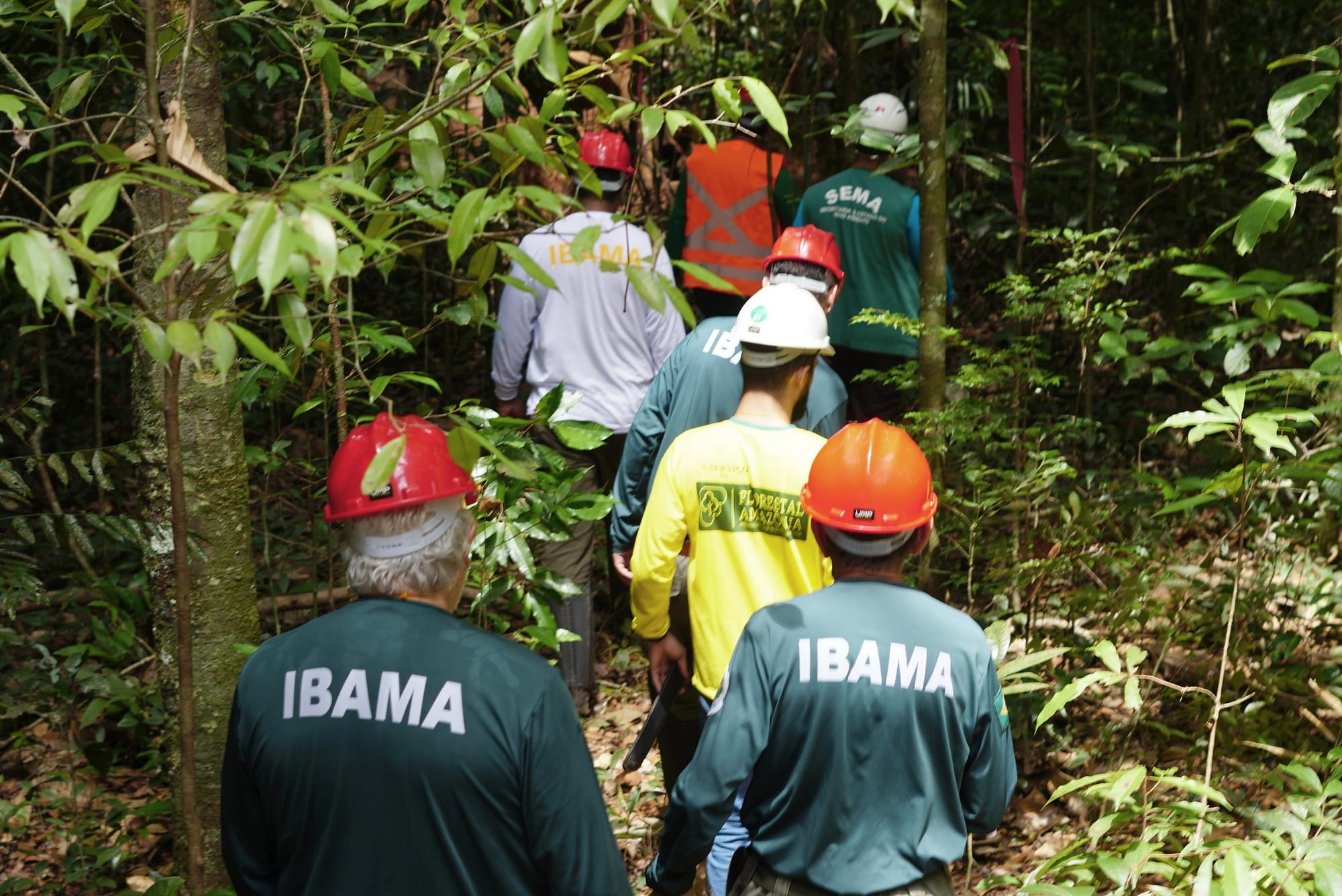 Lei do Licenciamento Ambiental: Congresso derruba 56 dos 63 vetos de Lula