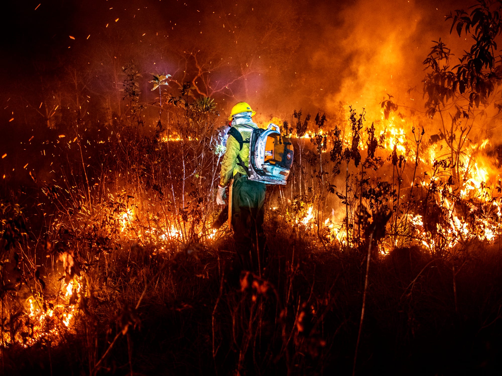 70 projetos em tramitação no Congresso são críticos para o meio ambiente