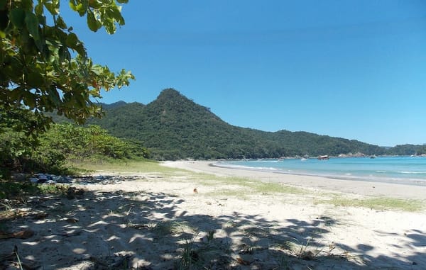 Ambientalistas dizem que PEC 3/2022 pode 'privatizar' praias; entenda o caso