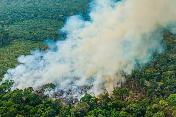 Lula anuncia criação de Autoridade Climática