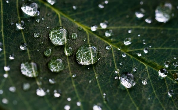 🌡️ 1,4 mil cidades brasileiras em sua pior seca histórica