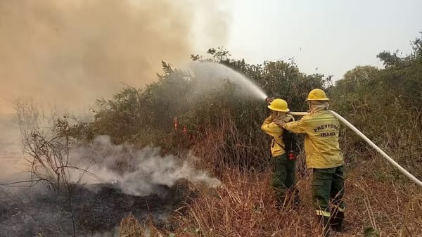 Cerca de 58% do território nacional enfrenta seca