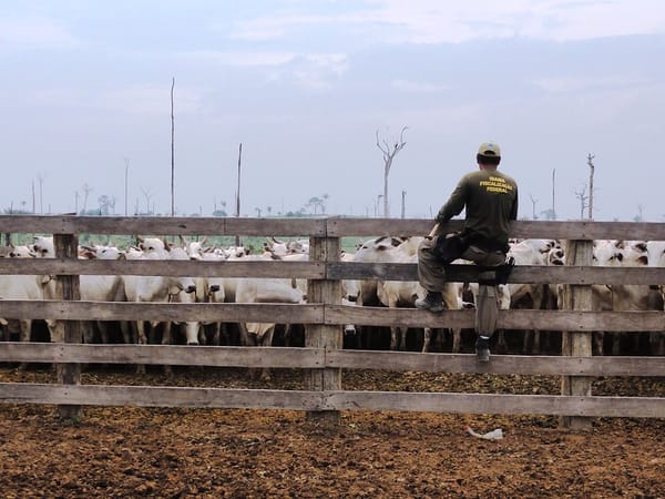 Licenciamento ambiental: projeto que afrouxa regras avança no Congresso