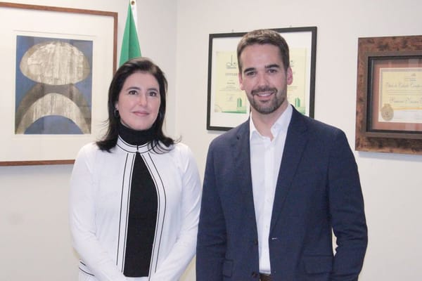Simone Tebet e Eduardo Leite, que se colocou como um "soldado do centro democrático" / Fonte: Reprodução / Twitter Simone 