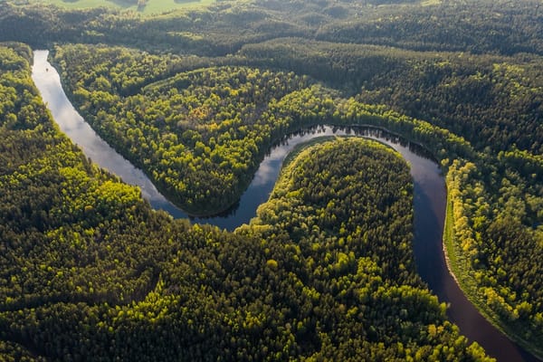 Imagem mostra uma floresta com um rio, em visão aérea / Foto: Ivars Utināns/Unsplash