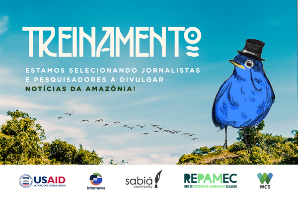 Programa de mentorias para ampliar divulgação de informações sobre a Amazônia / 📸 Correio Sabiá