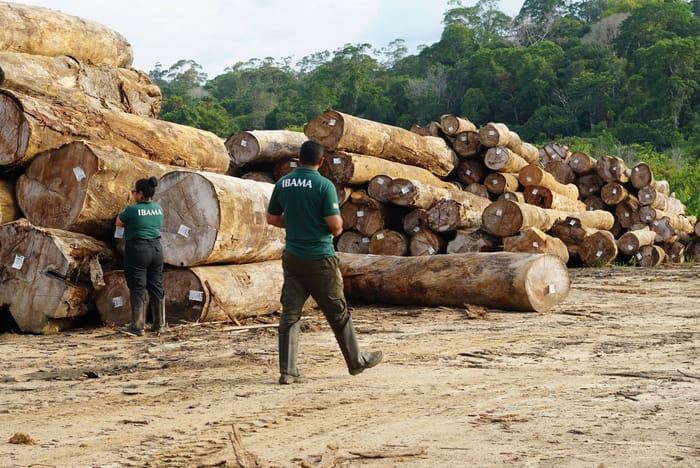 Vetos à Lei do Licenciamento Ambiental entram na pauta do Congresso