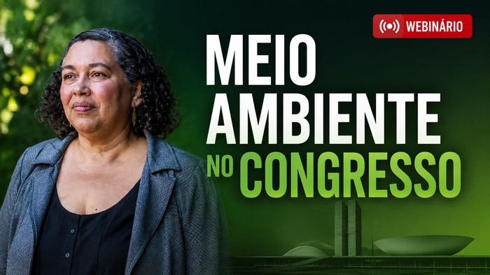 Congresso e meio ambiente: qual a agenda legislativa ambiental? Suely Araújo responde