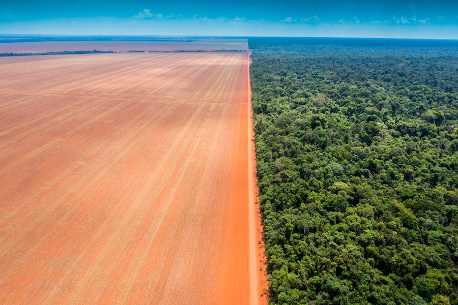 Imagem mostra desmatamento da Amazônia em Mato Grosso