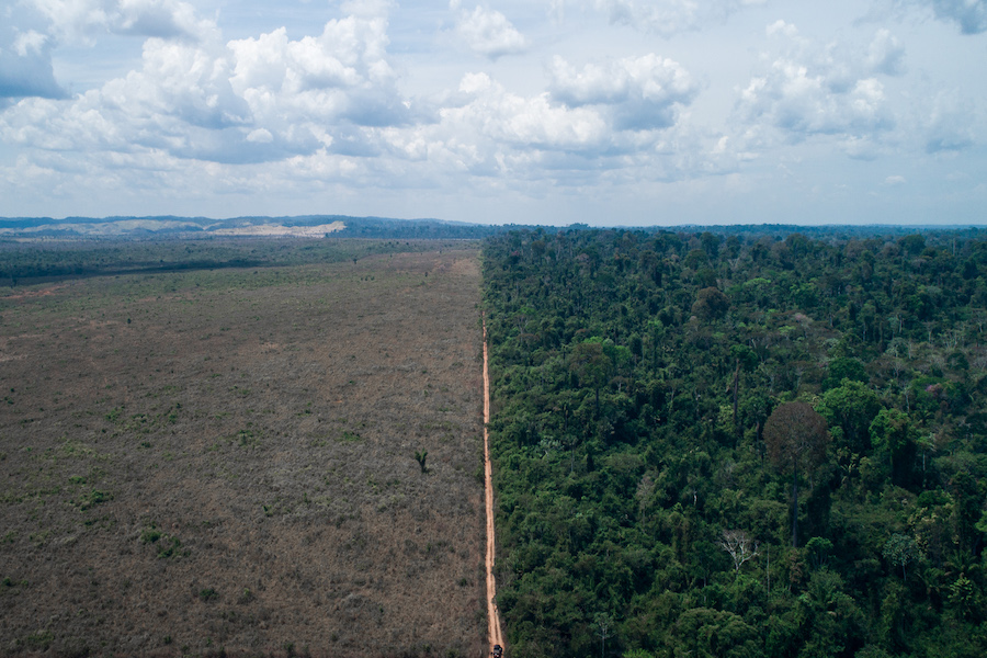 Imagem mostra desmatamento na Amazônia na área da Terra Indígena Kayapo