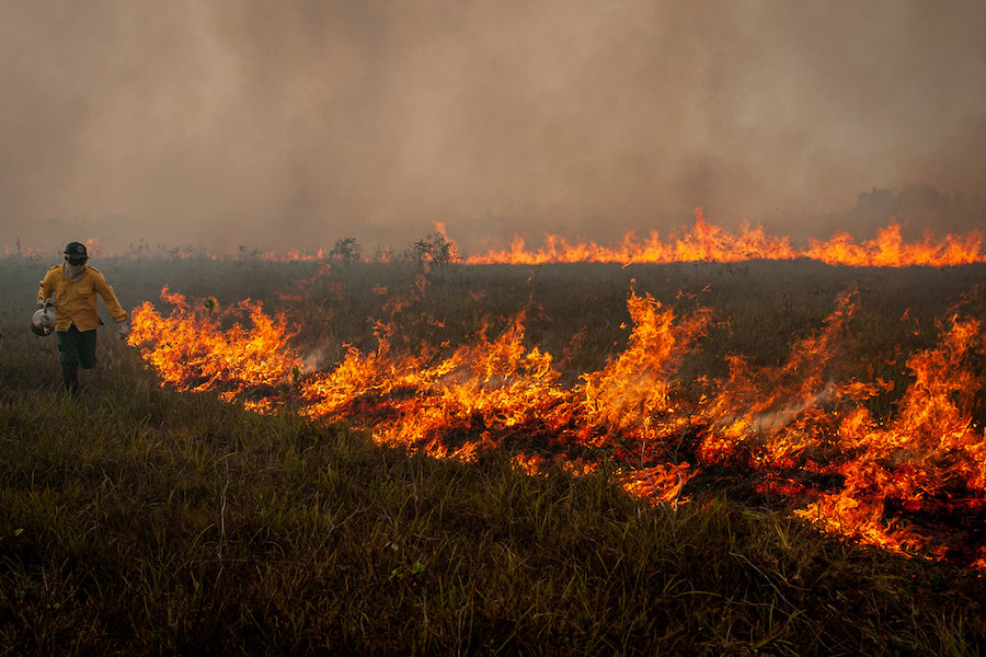 Amazônia: desmatamento volta a bater recordes, segundo dados do próprio governo federal / Foto: Vinícius Mendonça/Ibama