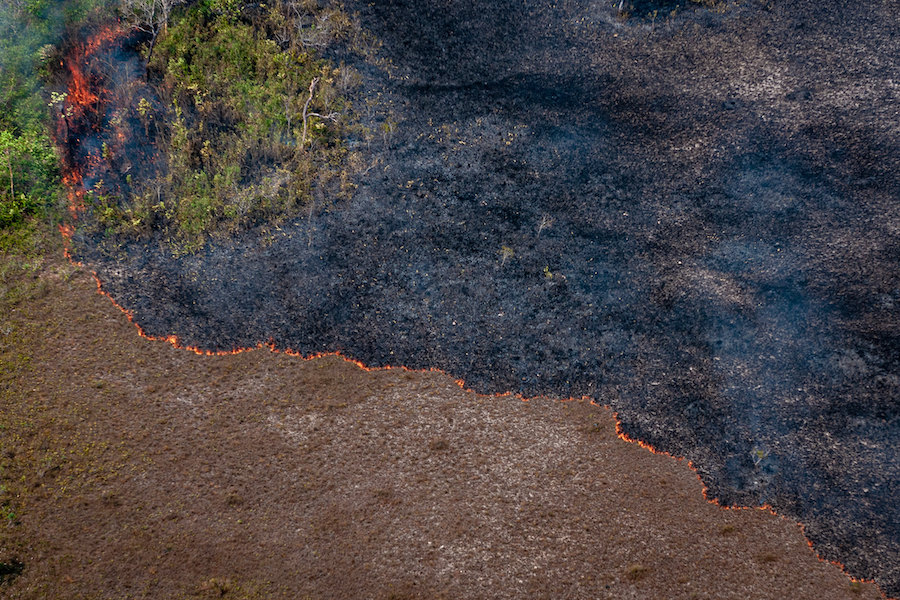 Ao todo, já são 85.150 focos de queimadas em 2022 na Amazônia, considerando o período de janeiro a setembro / Foto: Vinícius Mendonça/Ibama