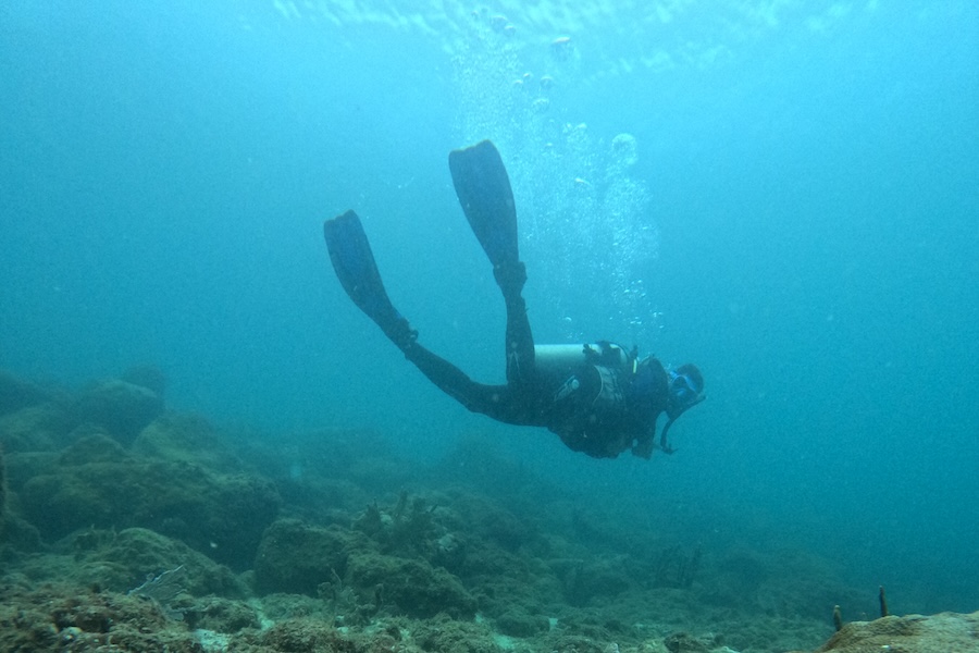 O oceanógrafo Rafael Menezes acompanhou os mergulhos em Arraial / 📸  Maurício Ferro/Correio Sabiá